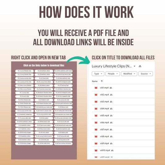 100 000 Reels with Master Resell Rights